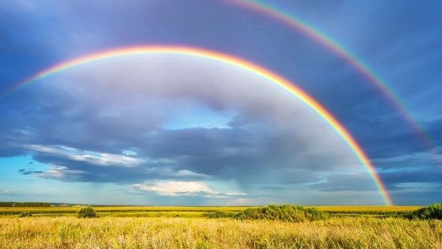ペットロスの悲しみに寄り添います ペットも大切な家族♡虹の橋を渡ったあの子にもう一度逢いたい。 イメージ2