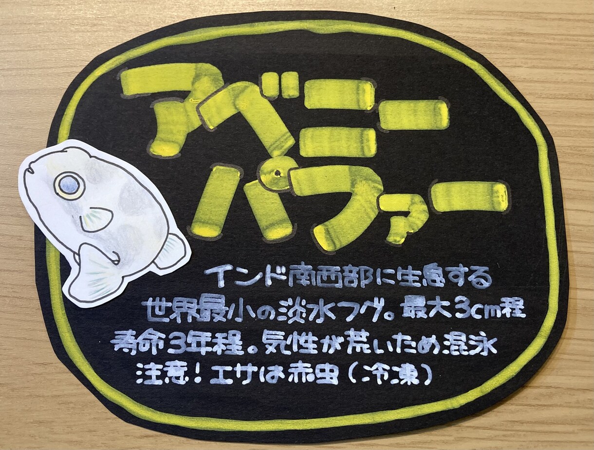 うちの子（水槽系）のネームプレート作ります うちの子の魚種と名前をタンク周りに貼りたい…そんなあなたへ イメージ8