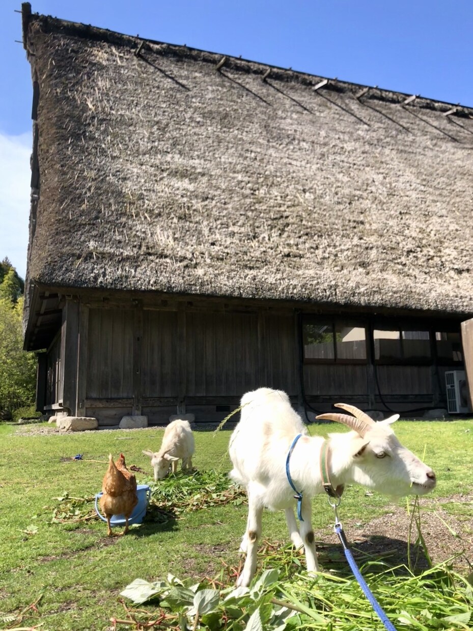最上級の思い出を！！コスパ最高旅行をお届けします 無駄な出費を抑えて、プラスαたのしもう！！ イメージ4