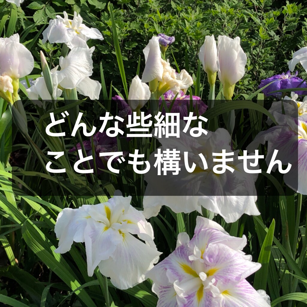 聴き上手と評判の看護師が看護師さんのお話し聴きます 看護師さん看護学生さん、悩み事、愚痴は何ですか？聴きますから イメージ5