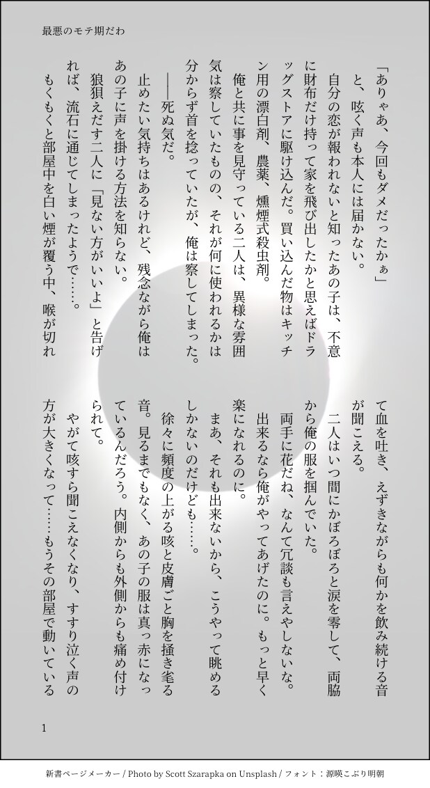 お好みの小説書きます あなたの好みの小説を書きます。夢小説も可。 イメージ1