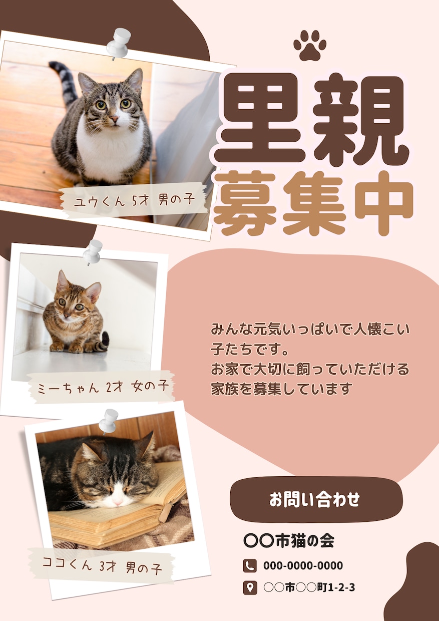 思わず手に取りたくなる犬猫の里親募集チラシ作ります 動物のイメージに合わせてデザイン変更可能です！ イメージ3