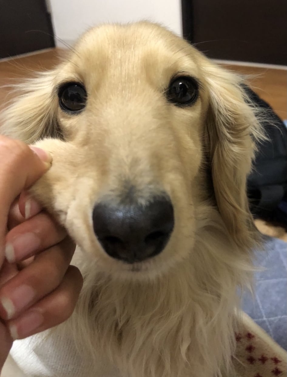 6月開講‼️簿記の初級の道筋をご一緒にします 日商1級おっちょこちょい主婦がとことん応援 イメージ1