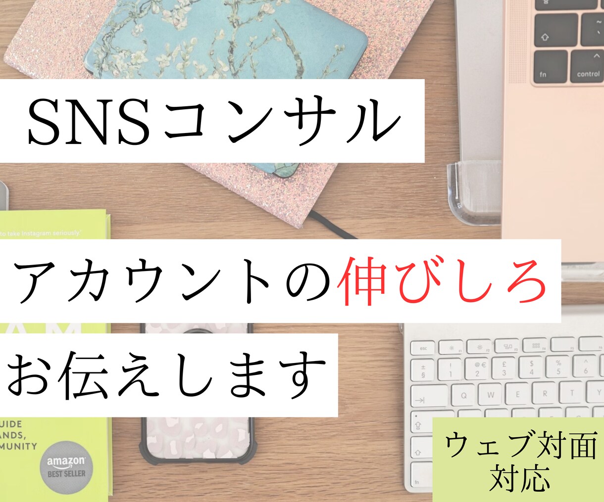 WEB対応・SNSを拝見して伸びしろをお伝えします 届けたい人へ届ける発信を！NPOの発信、お悩み相談聞きます イメージ1