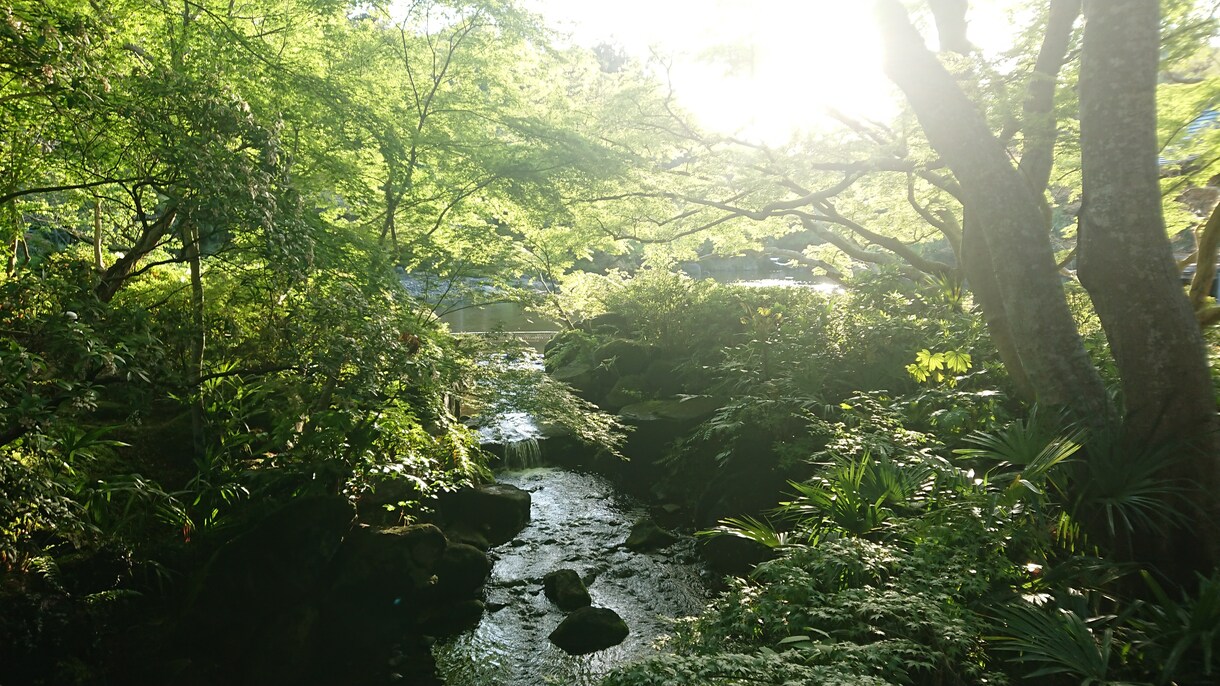 遠隔で心を整えます ～心が疲れているかたへ～癒しをお届けします。 イメージ1