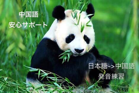 中国語勉強の方にオススメ★日本語から中国語翻訳ます 中国語を勉強やビジネス、旅行、生活をしている方 イメージ2