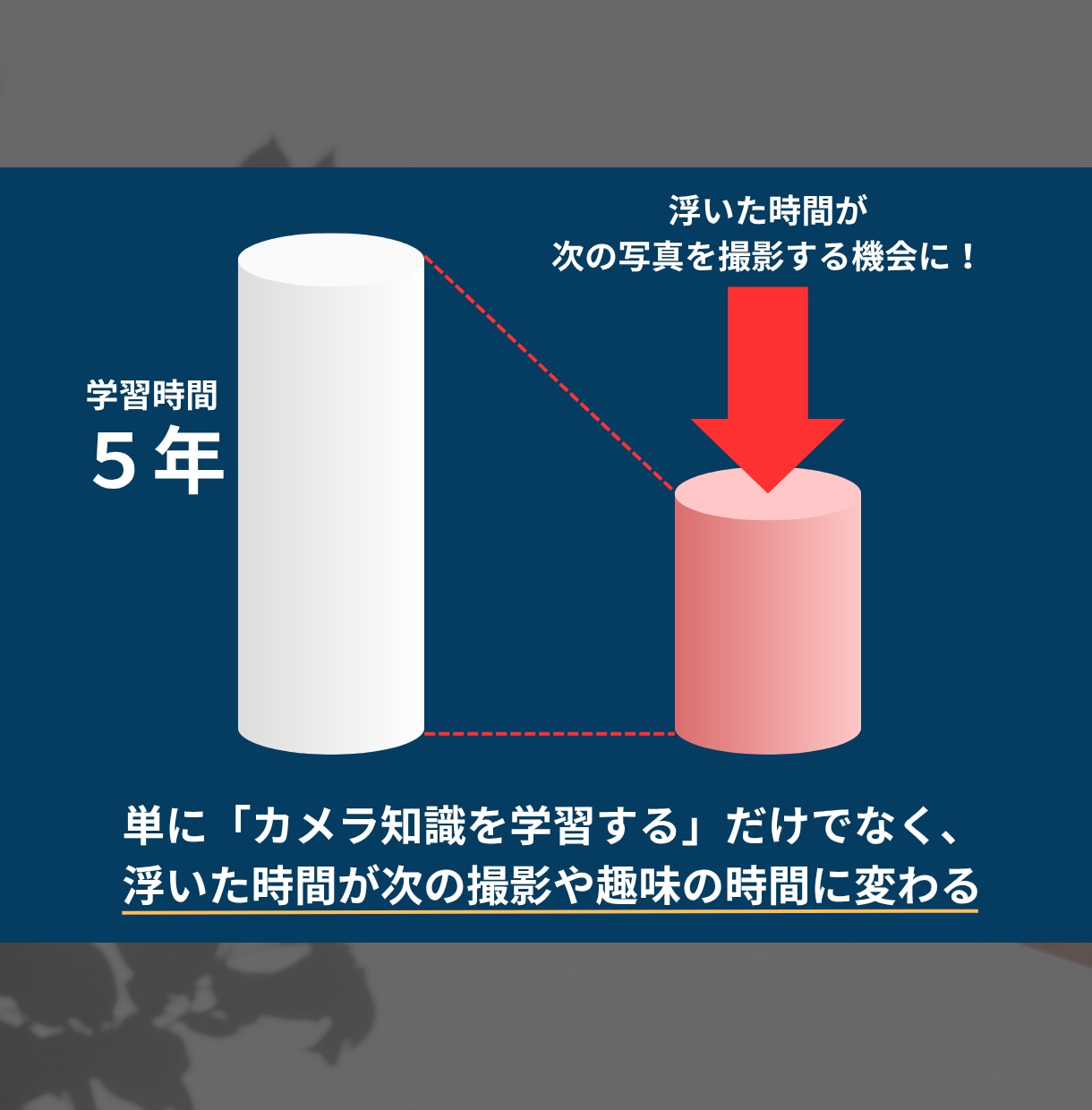 講座5回 カメラのお悩みをマンツーマンで解消します 回数プラン！SNS総フォロワー2000人越カメラマンが指導 イメージ5