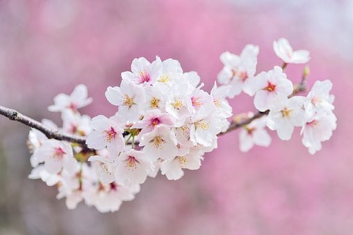 大学受験相談　テキストチャットでアドバイスします 志望校選びから出願戦略まで、オンラインで受験の不安を解消 イメージ5