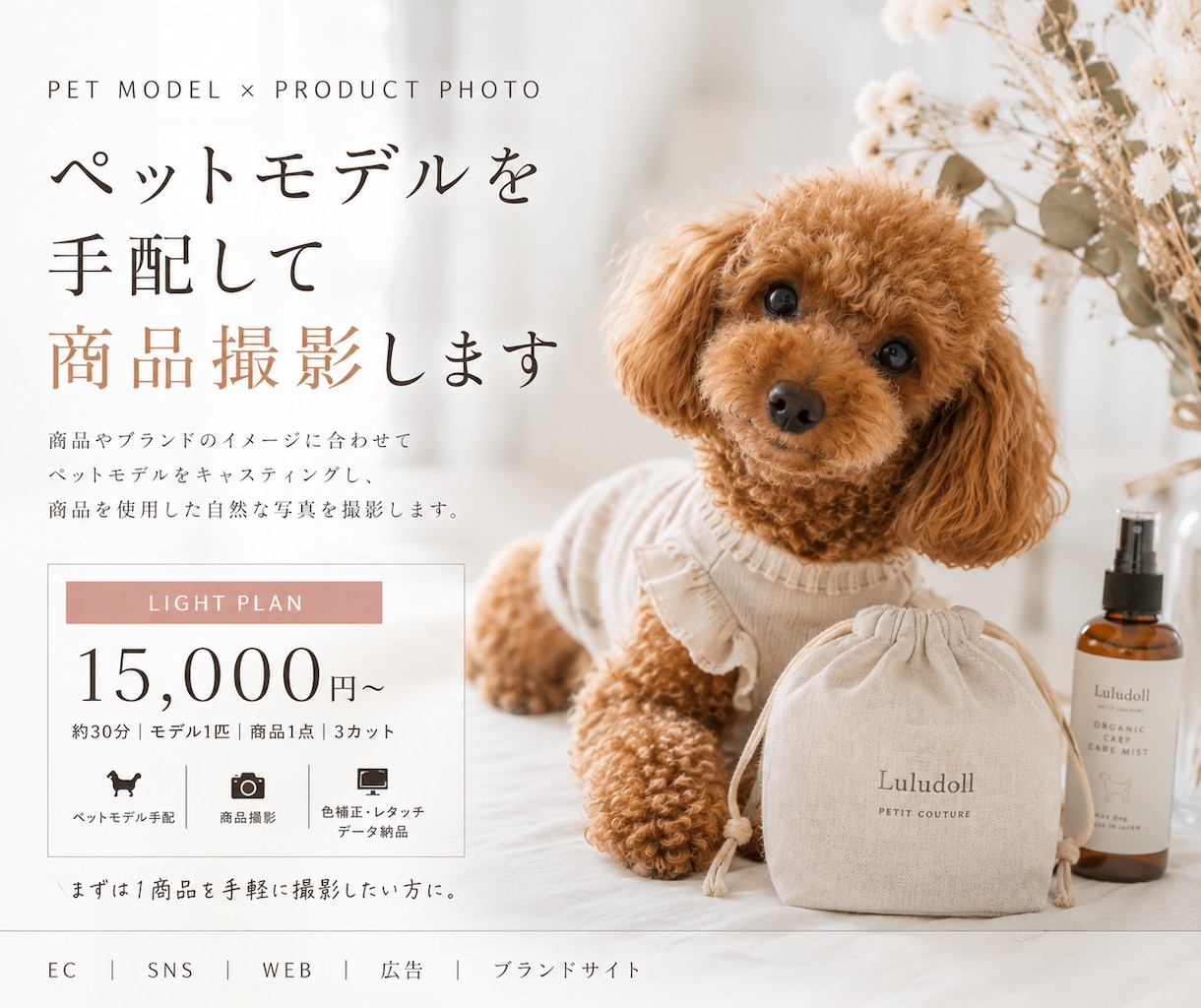 ペットモデルと商品を魅力的におしゃれに撮影します 商品に合うペットモデルを手配し、自然な写真に仕上げます。 イメージ1
