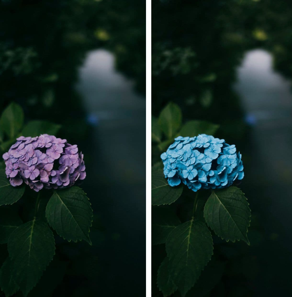 Photoshopで画像編集（レタッチ）承ります 最短、高クオリティでお届けいたします。ポスター作成なども イメージ3