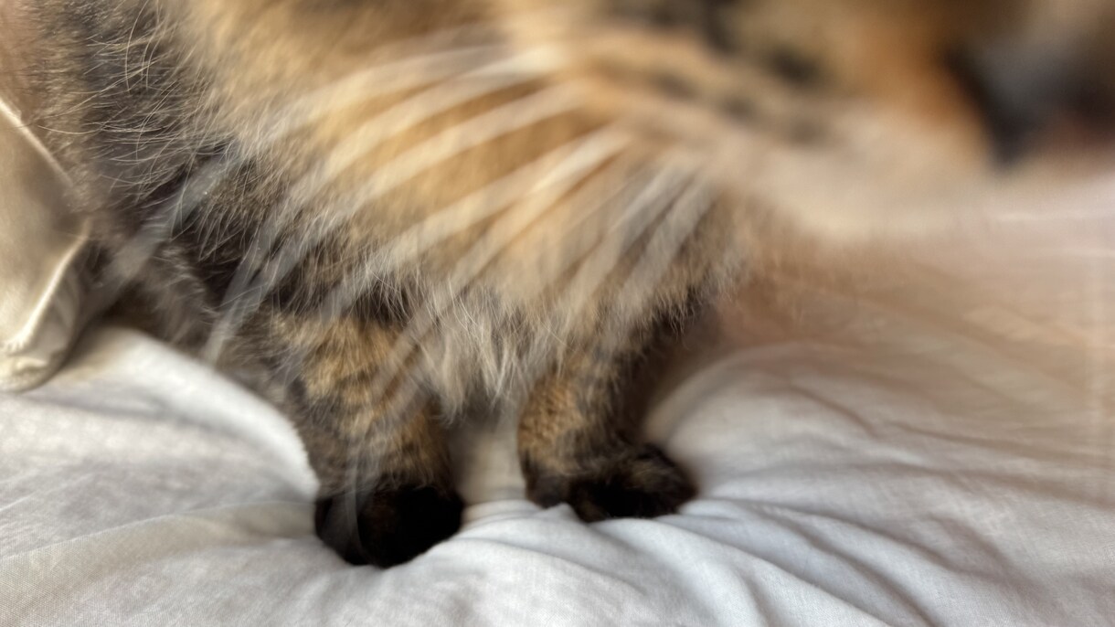 暇しているあなたの話聞きます 見ず知らずの人にしか話せないことありますよね。 イメージ1