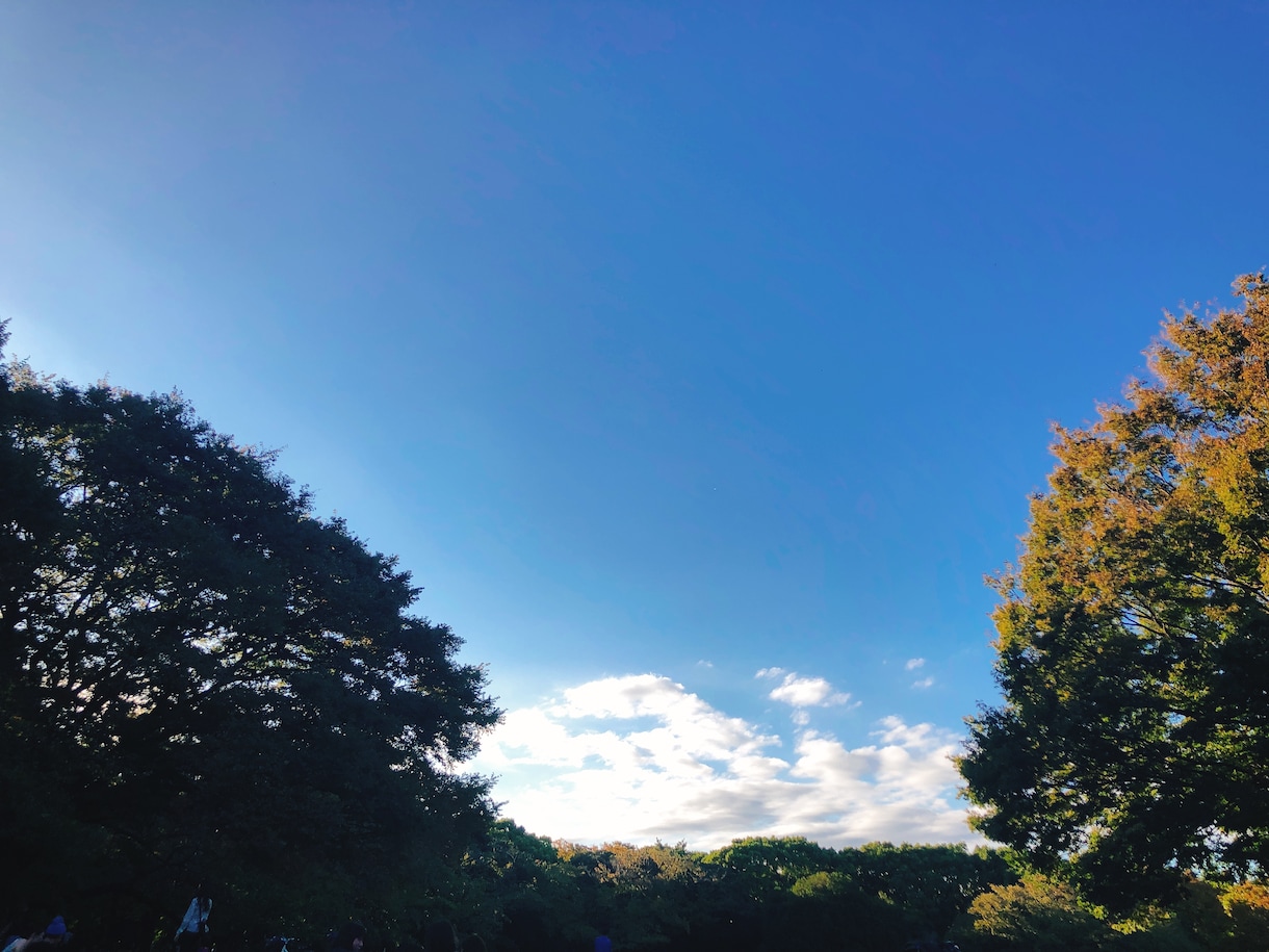 30分間でしっかり鑑定します 霊視霊感であなたの心を透視、今必要なことをお伝えします イメージ1