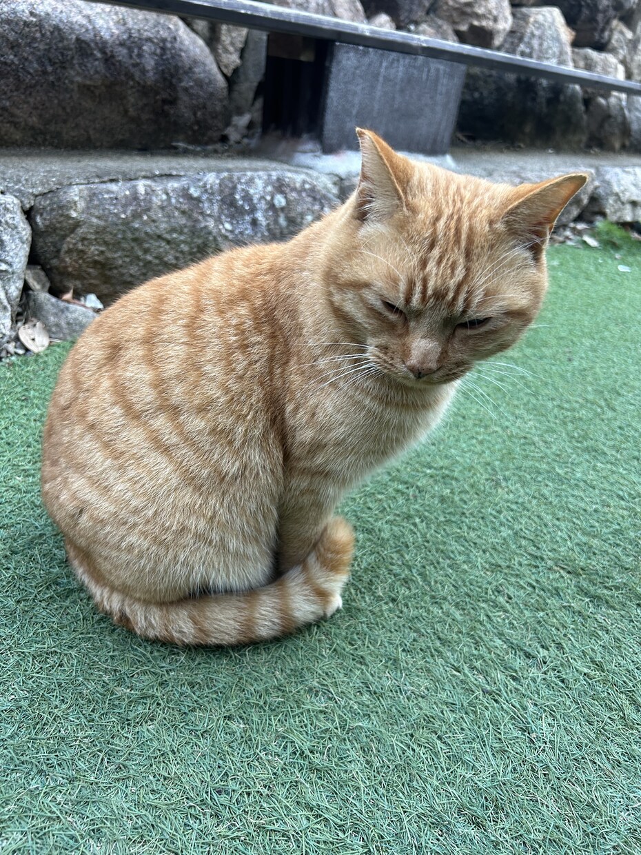 何でも話して下さい！聞いて欲しい気持ち受け止めます 誰にも言えない気持ち、気軽にお話しください！ イメージ1