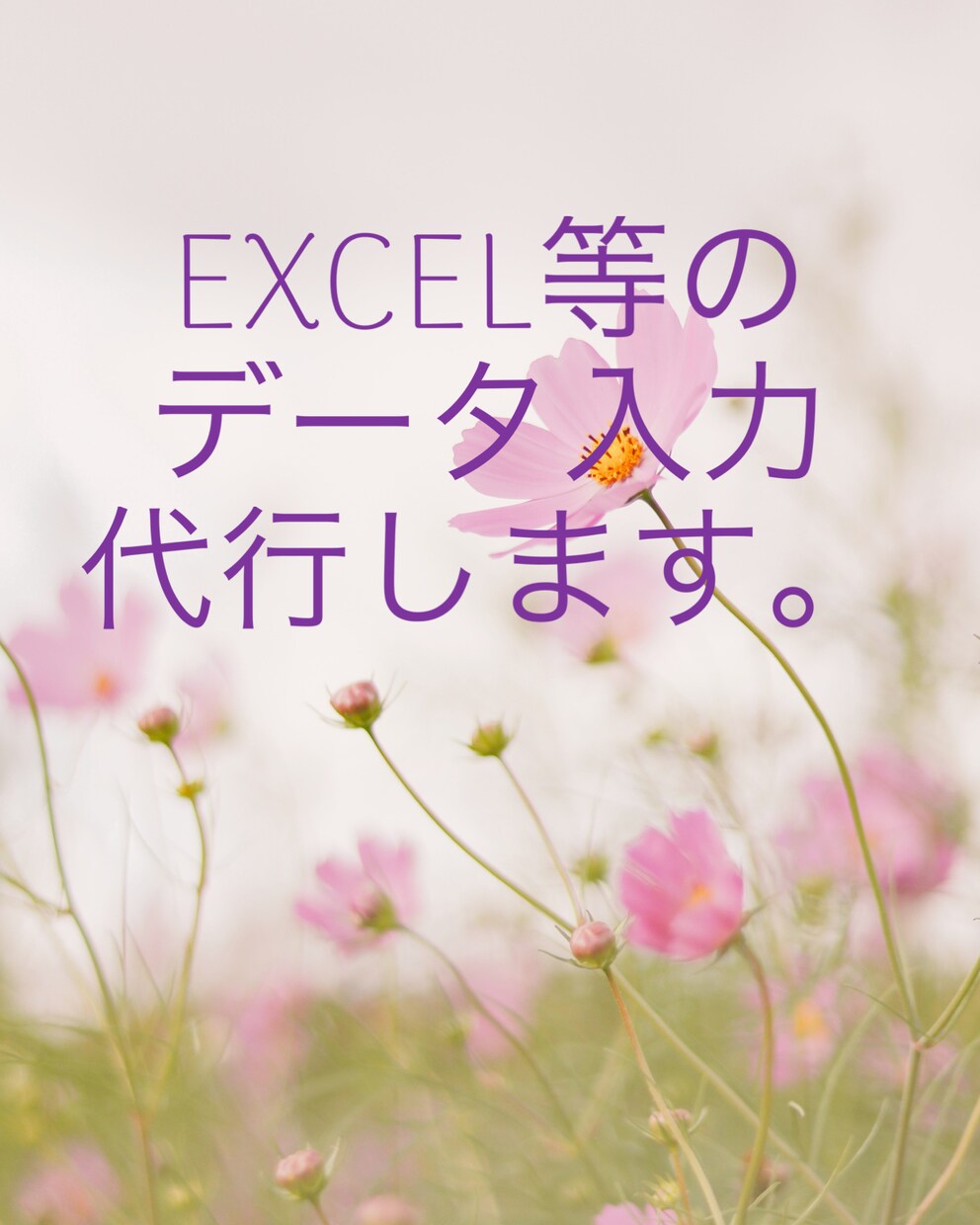 EXCEL等のデータ入力を代行します IT業界歴40年、どんなデータも正確に入力します。 イメージ1