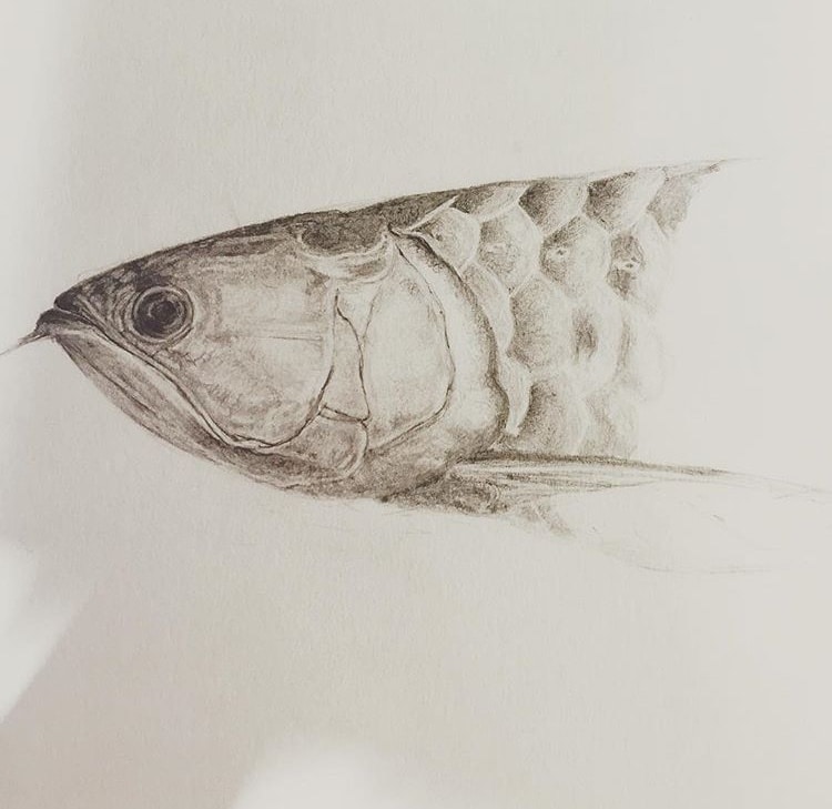 貴方の大切な家族の一員を描きます 愛犬、愛猫、愛魚、愛兎どんな動物でもお任せ下さい！ イメージ3