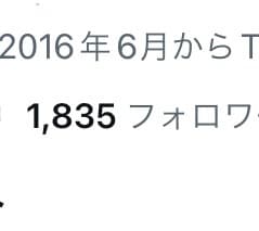 Ａ入門＋初級ブログTwitter閲覧フォロワ増ます Twitterのコツも追加で超お得　希望PDF2個オマケ付 イメージ1
