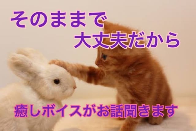 心の悩み 優しくお聞きします 大丈夫、ありのままの自分でいいんです(^^) イメージ1