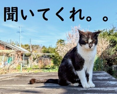 普段言えない。。あなたの本音を受け止めます 自分の思っていることを吐く場がないと感じている人へ。 イメージ4