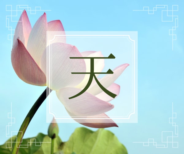 易占で『あなたの天命・天職を知る』をお手伝いします 迷いを断ち切るに為には、天が与えた使命を知る必要があります。 イメージ1