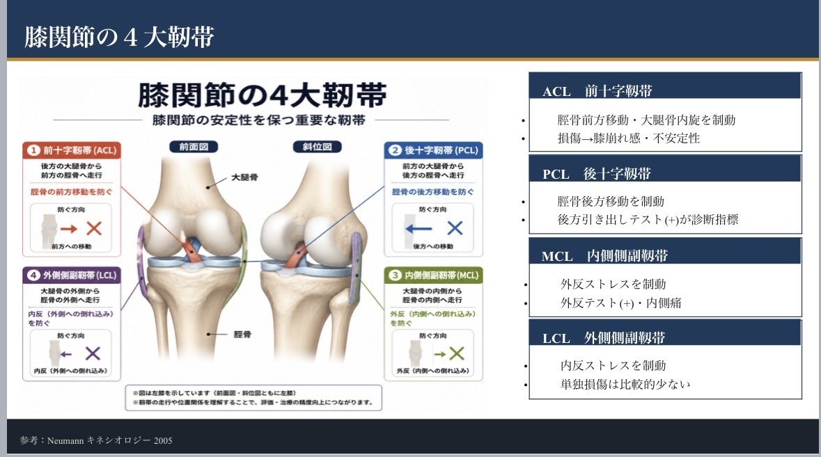 整形外科PT歴9年勉強会院内研修スライド作成します 整形外科理学療法士｜膝関節専門・勉強会講師 イメージ1