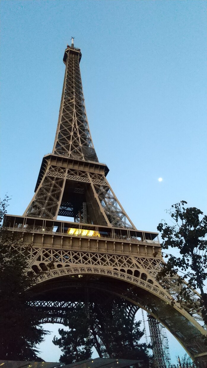 フランス語のネイティブチェック承ります フランス語ネイティブが何でもチェックします！ イメージ1