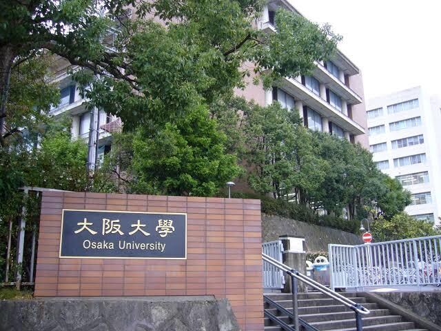 阪大生一位教師による国語の添削します 現代文、古典、漢文などの添削！ イメージ1