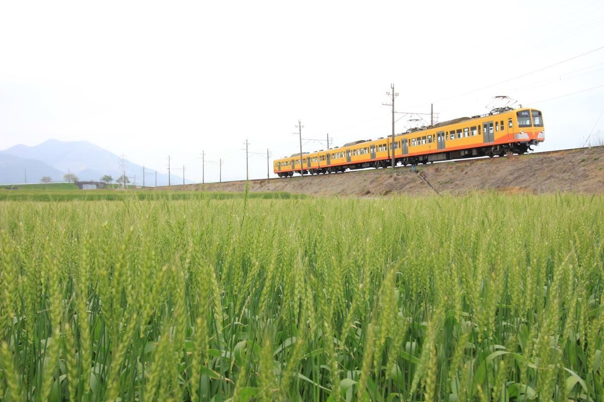 鉄道写真提供します 日本各地、四季折々の鉄道写真素材データを提供します! イメージ4