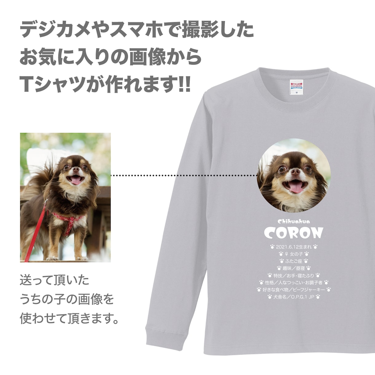 ペット（犬　猫）の画像で、うちの子Tシャツ作ります プロフィール入りだから着ているだけで自己紹介が出来ちゃいます イメージ3