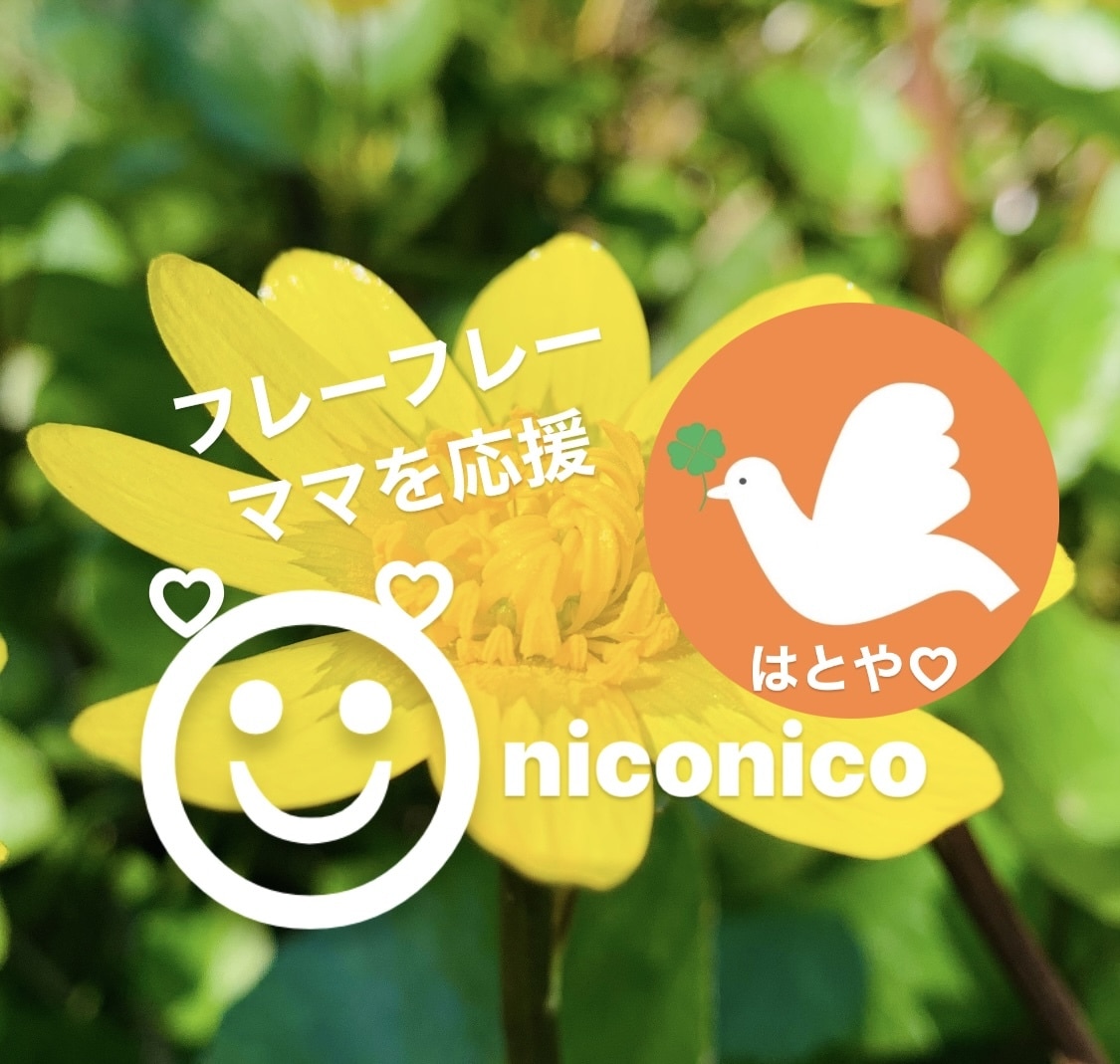 赤ちゃんや小さいお子さんを抱っこしながら話せます 赤ちゃんの寝てる間、お子さんが保育園に行ってる間に話しましょ イメージ2