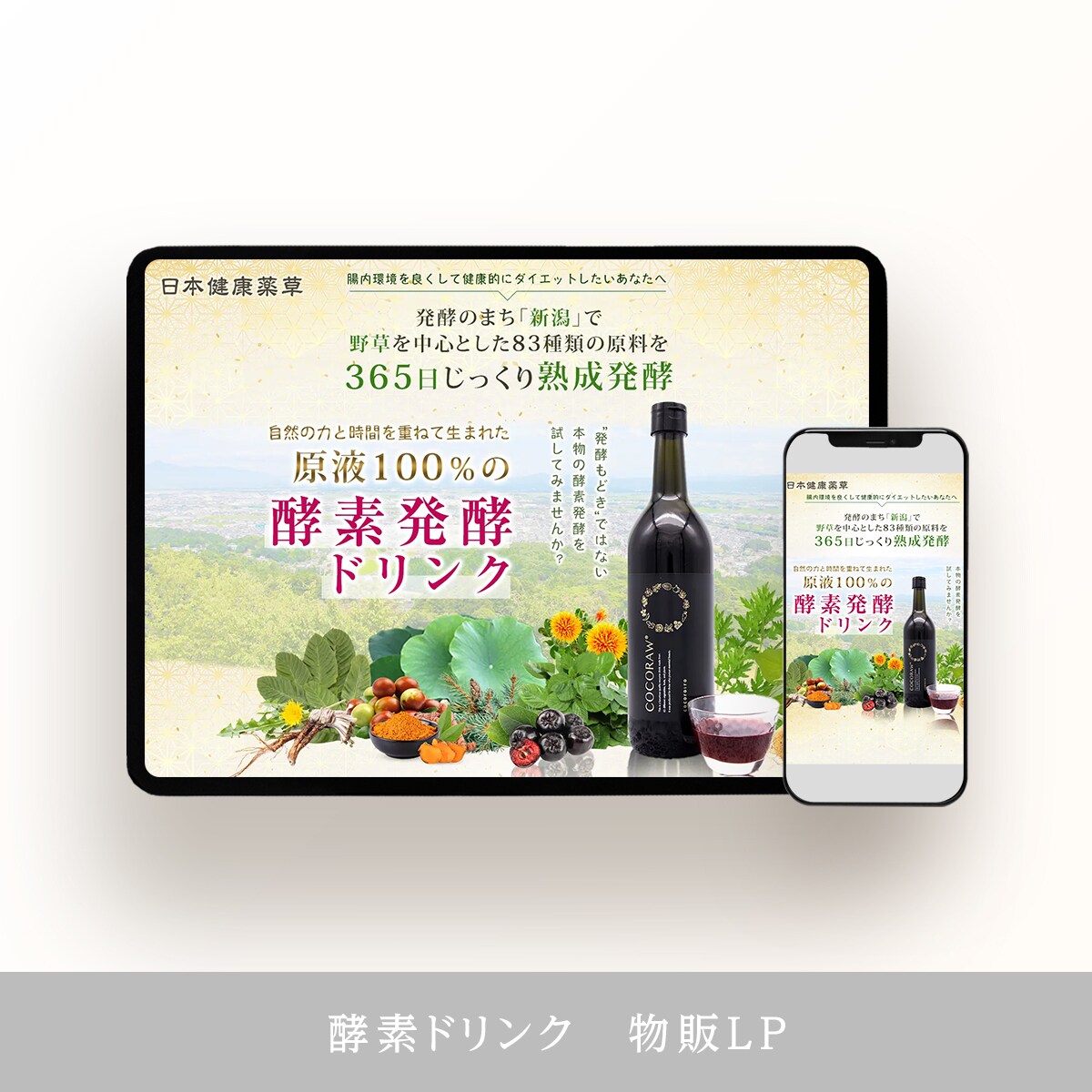 ランディングページの作成をいたします デザインを通してサービス拡大のお手伝いを承ります。 イメージ2