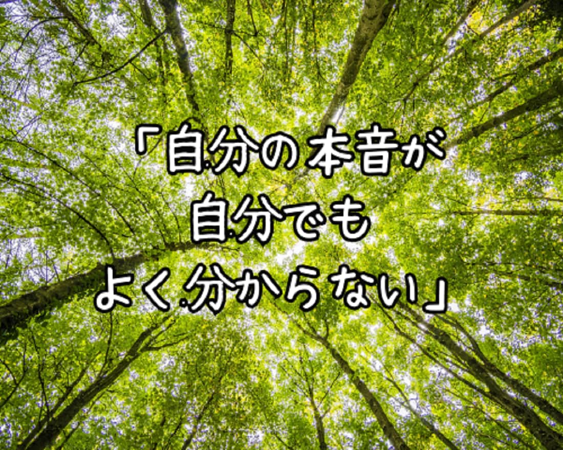 ありのままのあなたを好きになれるまで寄り添います ”自己肯定感”が低くて、生きづらさを感じているあなたへ… イメージ8