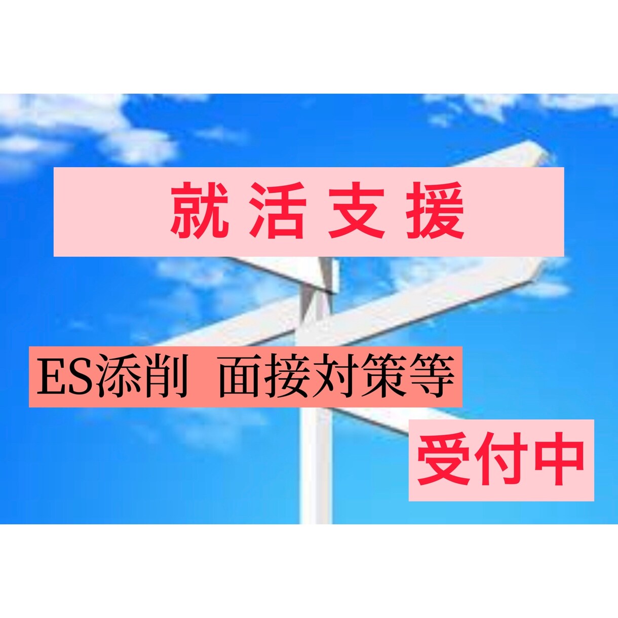 就職活動でのES添削や面接対策等をサポートします 最高の内定先に導きます！一緒に頑張りましょう！ イメージ1