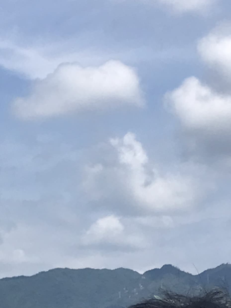 元♥️婚活カウンセラーがアドバイスします ・・・結び・・・出会いから結婚まで何でもご相談くださいね！ イメージ5