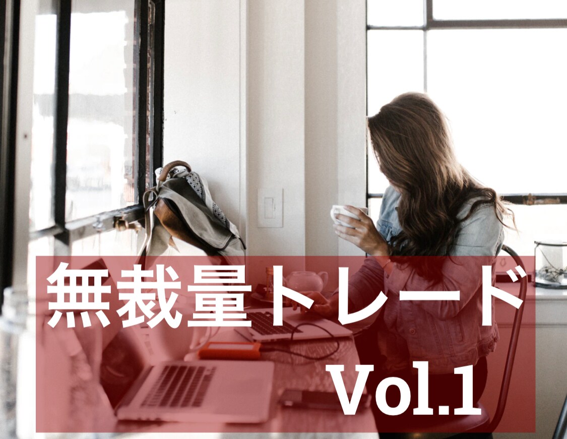 安定性重視のロジックでのFXマニュアルを提供します ★安定収入★少額からOK★難しいチャート分析は不要 イメージ1