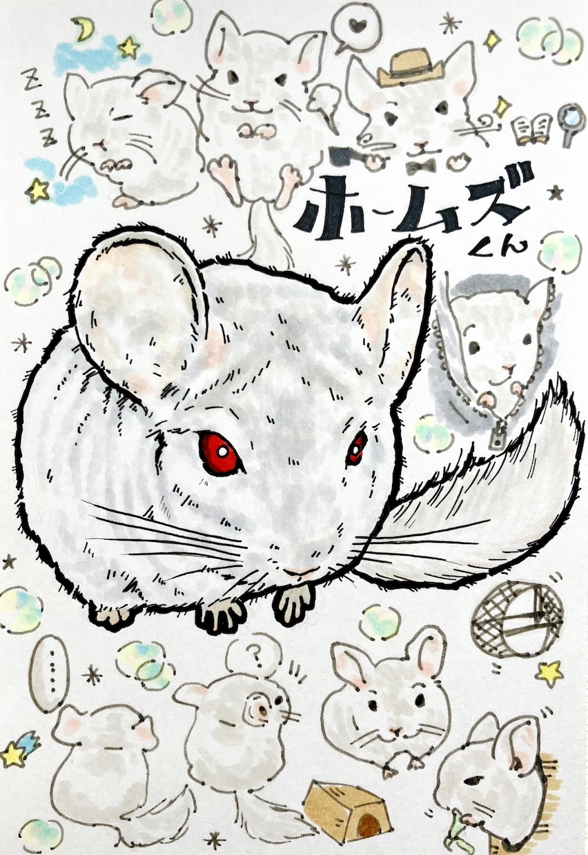 カラフルペット似顔絵。うちの子イラスト描きます うちの子記念日、誕生日プレゼント、ペット友達のプレゼントにも イメージ7