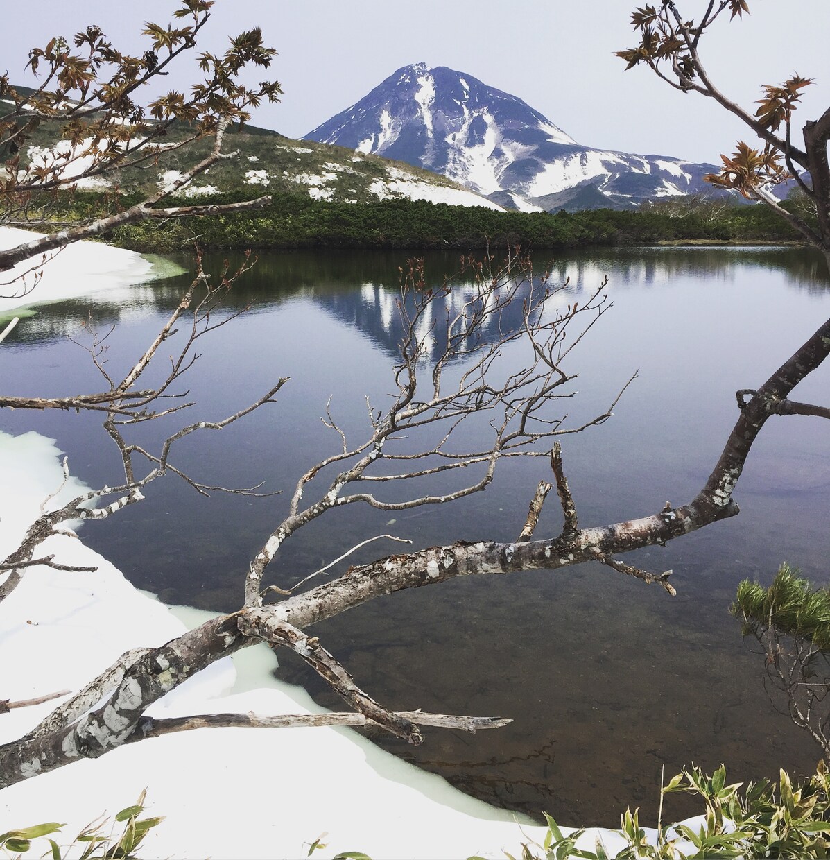 知床に旅行の方！質問なんでも受け付けます 元ガイドの主婦が旅行の相談に乗ります！ イメージ3