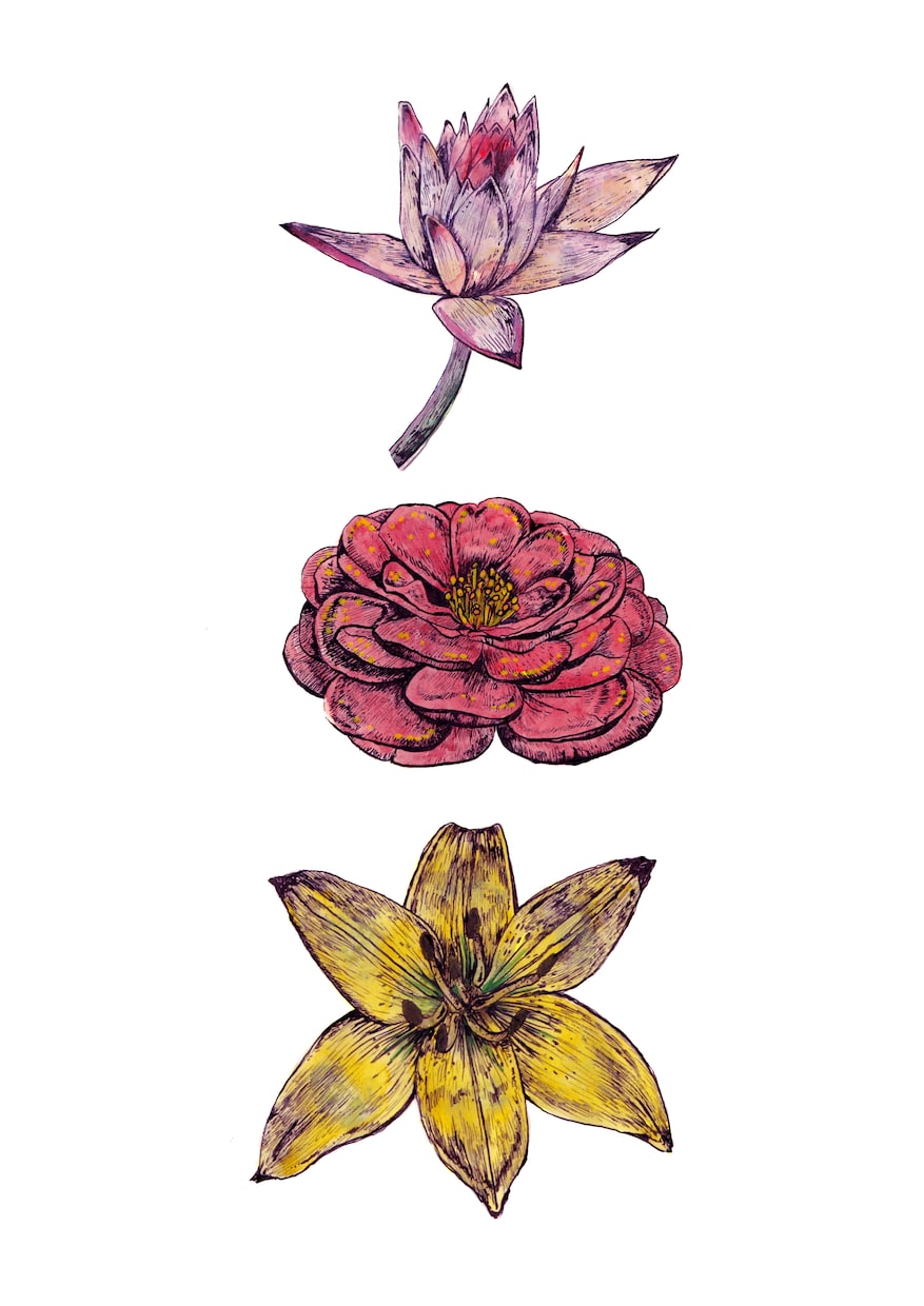 店舗装飾に実績あり＊手描きの植物イラスト描きます カフェのガラス面装飾など商業実績のある繊細な手描きペン画 イメージ1