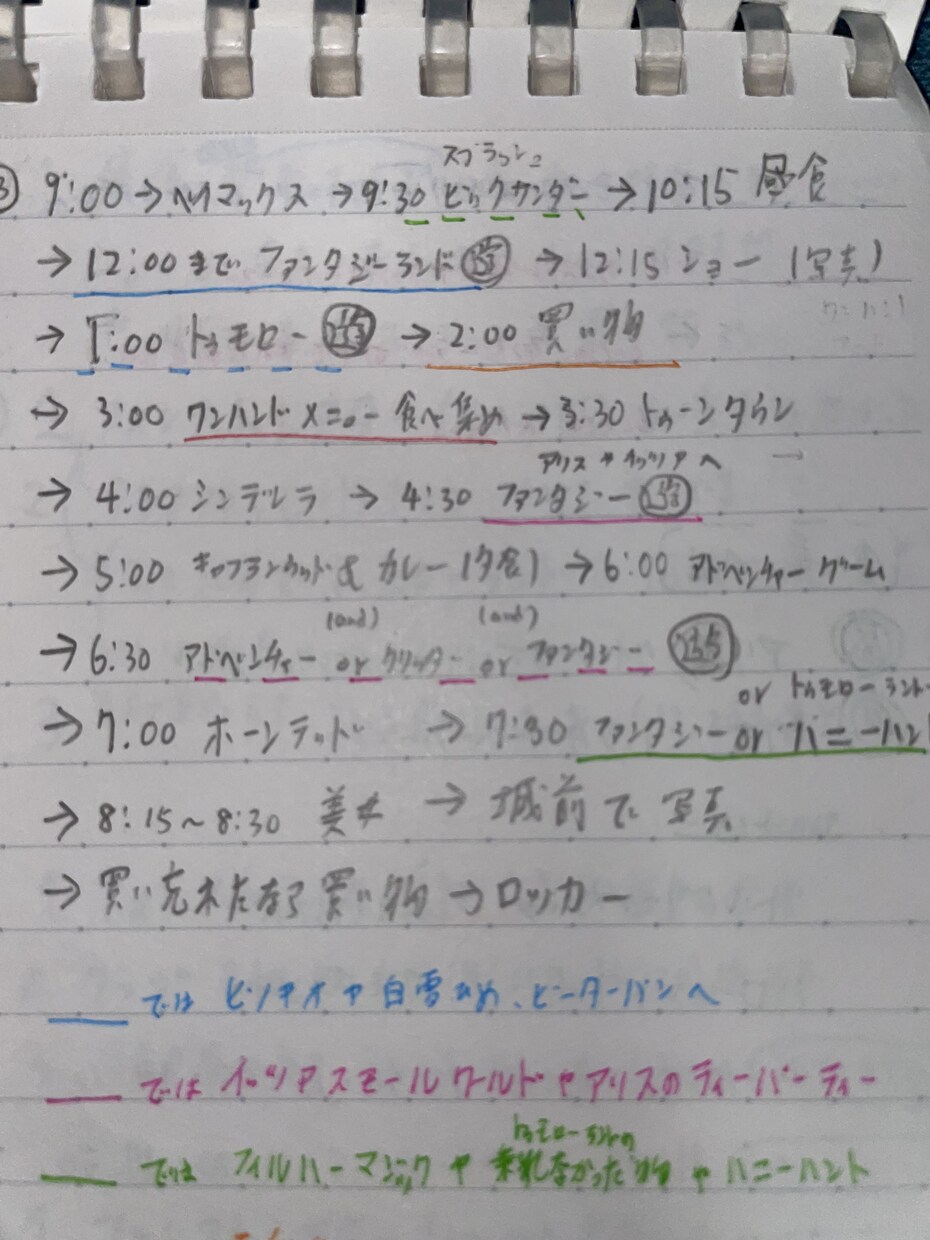 特別なディズニーリゾートの旅を最高の思い出にします ディズニーリゾートの旅を忘れられない思い出と記録に イメージ1