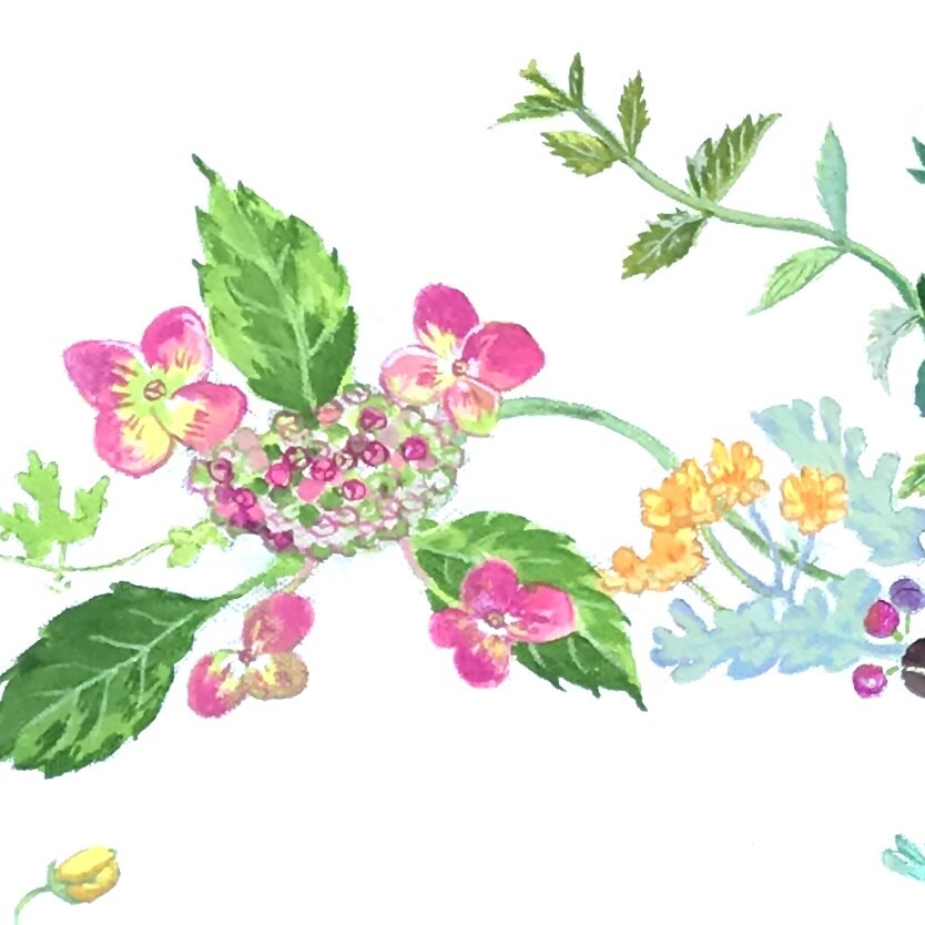 商用OK!伝わるイラストを作成いたします 親切丁寧にご対応！事前のラフスケッチで安心ご提案 イメージ4