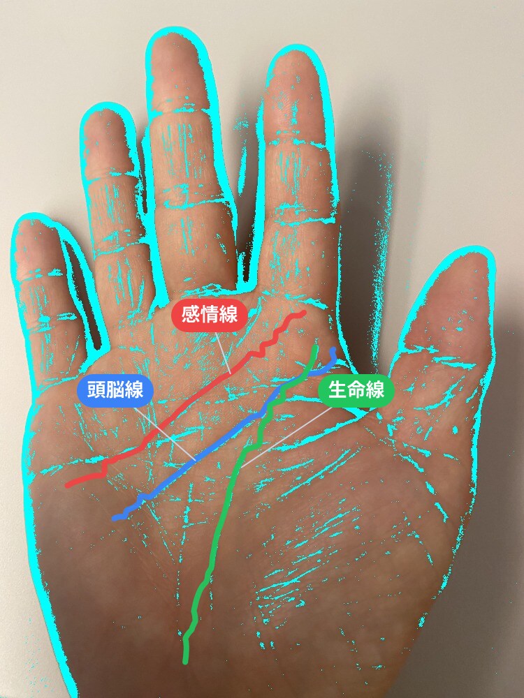 手相で強み3つと適職を3日以内に鑑定します 写真1枚でOK｜線を描いた鑑定書PDF・顔出し通話なし イメージ2