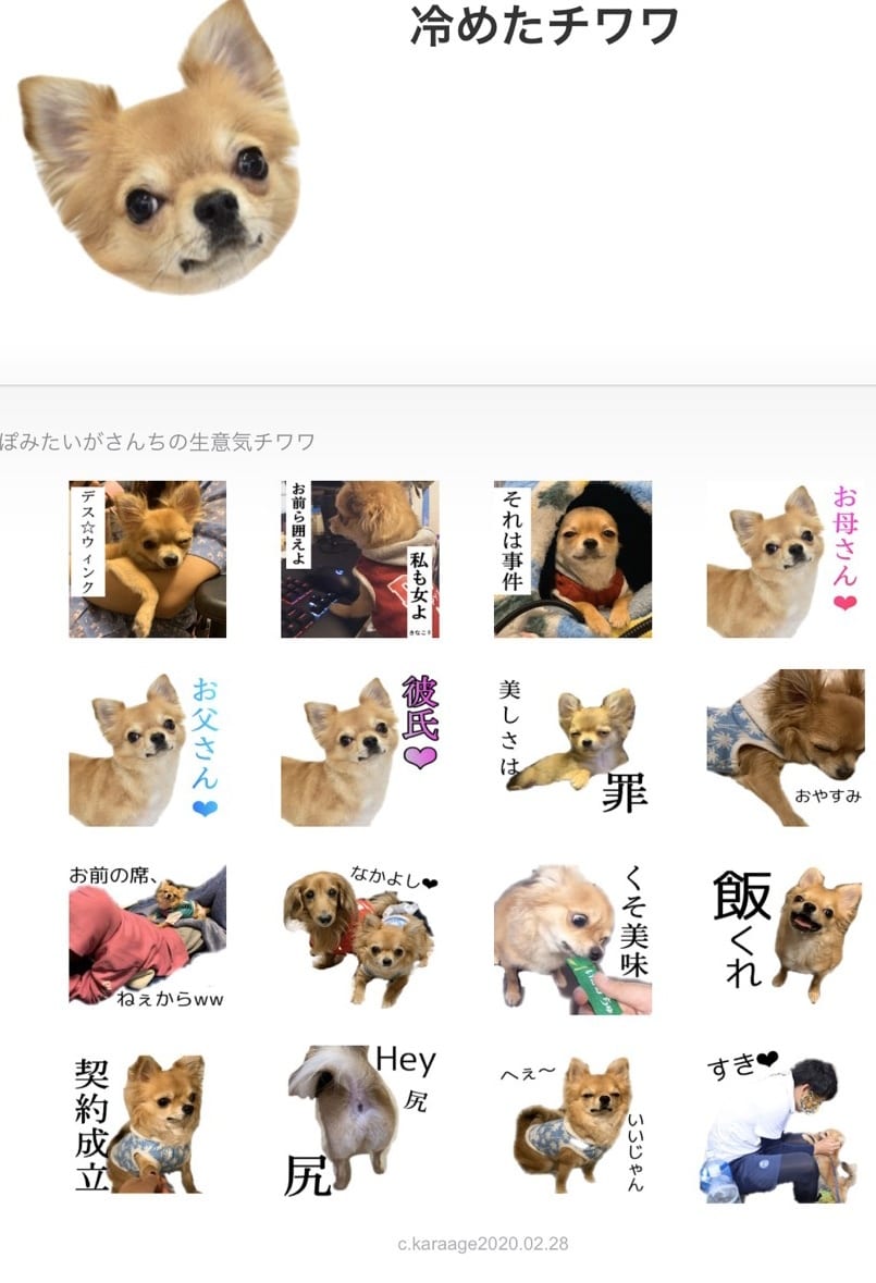 お子さんや愛犬のLINEスタンプ作ります 思い出に残る！愛犬お子さん愛猫ちゃんの可愛いスタンプ！！！！ イメージ1