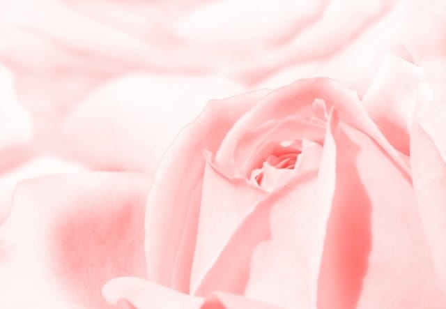 幸せを感じる瞑想の誘導をいたします 癒しの女性ボイス　幸福感　誘導瞑想音声 イメージ7