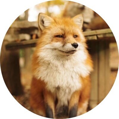 穏やかな25歳、メンズが日々の話し相手になります 日頃から寂しい！友達にしずらいけど、誰かに話したい！ イメージ1