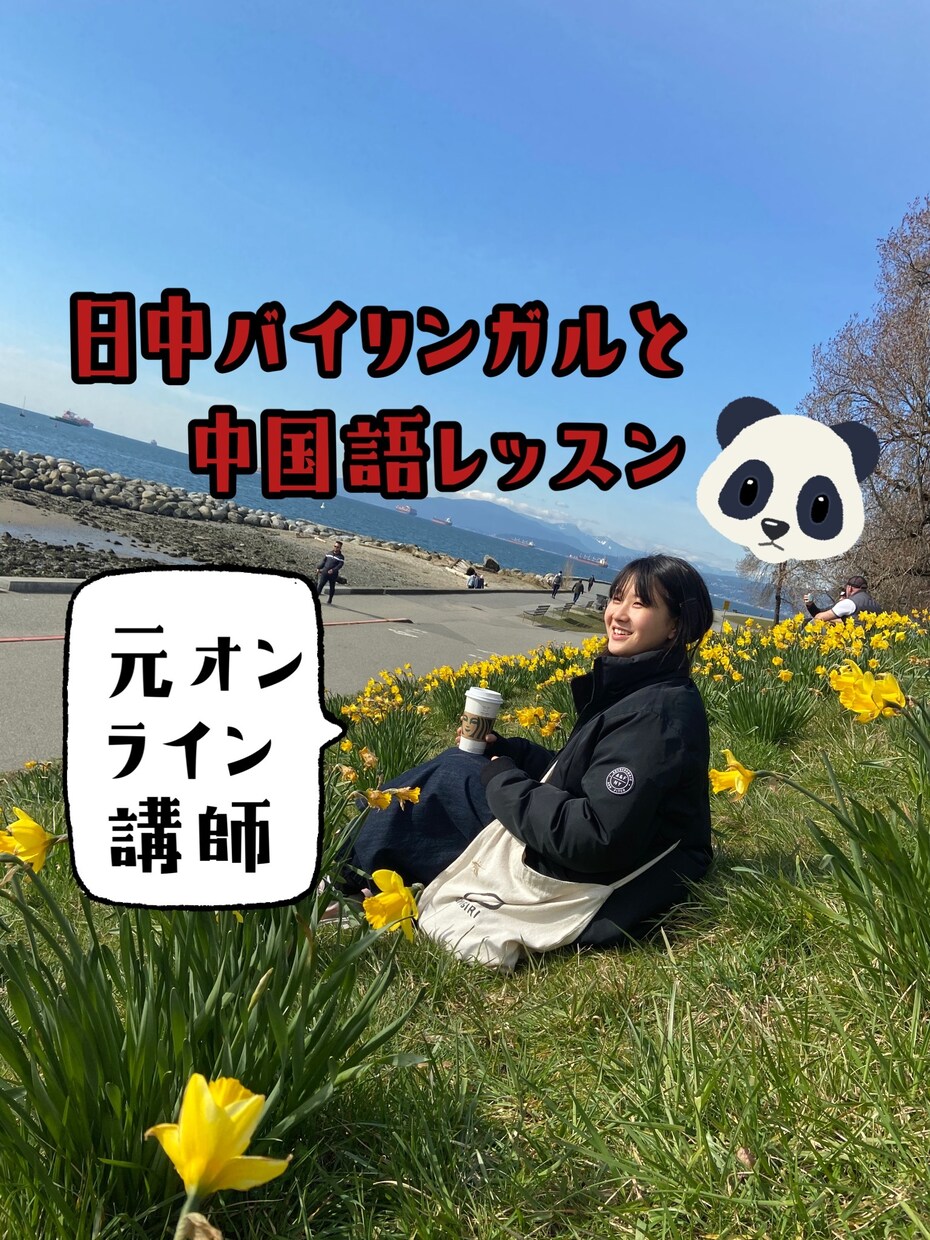 日中バイリンガル★細かすぎる中国語レッスンをします 初心者から上級者まで中国清華大学現役合格生が細かく教えます！ イメージ1