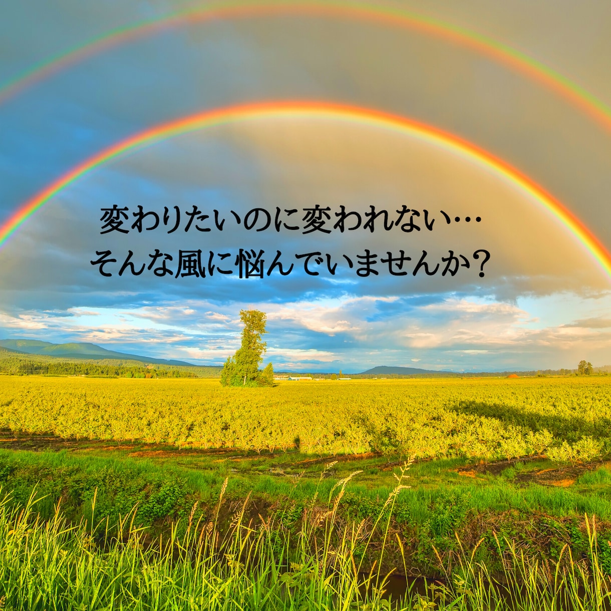 生きづらさを根本的に解消します あなたの問題に合わせたカウンセリング イメージ2