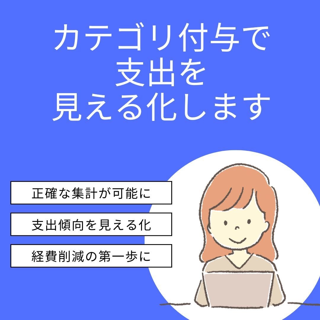 カテゴリ付与で支出を見える化します 支出データを整理し、経費の見直しをお手伝いします イメージ1