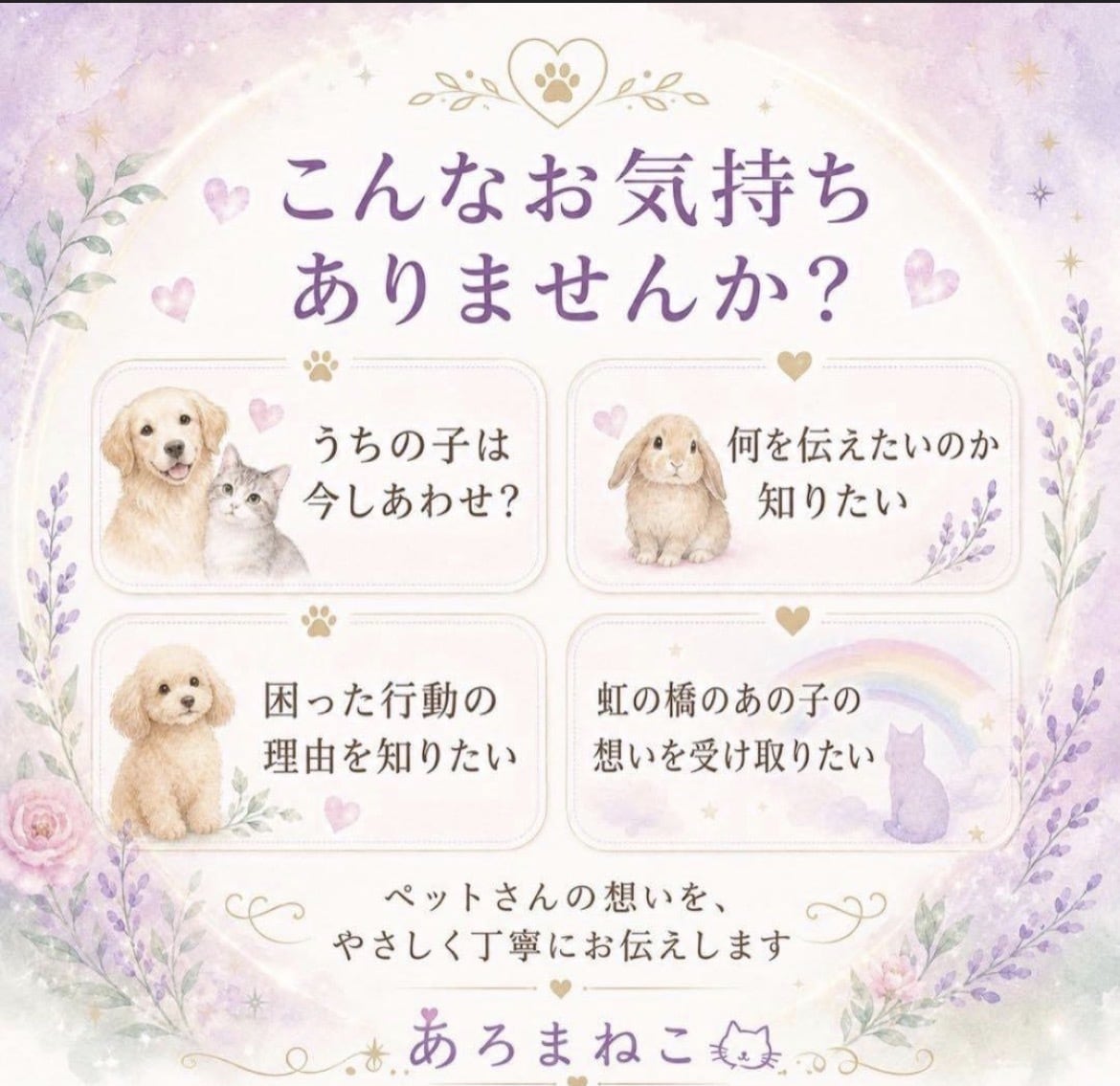 ペットさんとお話しします ペットさんからのメッセージをお届けします イメージ3