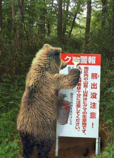 田舎のクマが話を聞きます 田舎のクマさんの出張所　気軽においで イメージ1