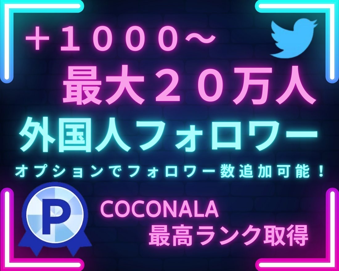 X・旧Twitterの外国人フォロワーを増加します 【減少率低く長期保証付き！！】Xフォロワー1000増加！ イメージ8