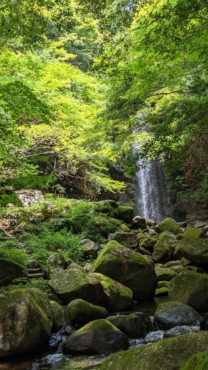 大切な方を亡くした気持ち、聞きます ぽっかり空いた心の穴、辛い気持ちをお持ちの方へ イメージ1